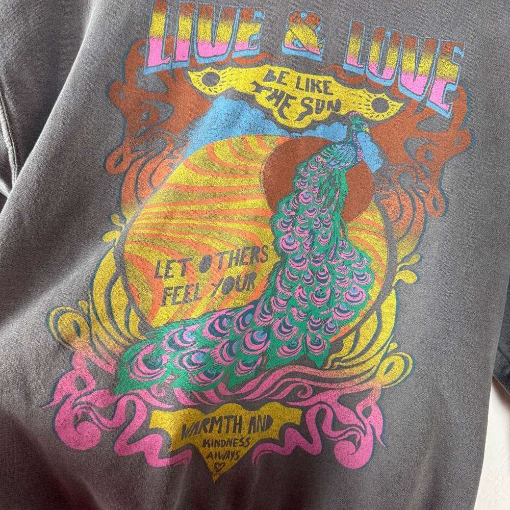 UO Urban Outfitters Project Social T Sweater Pullover Sweatshirt Fleece Sun Gray - Picture 7 of 8